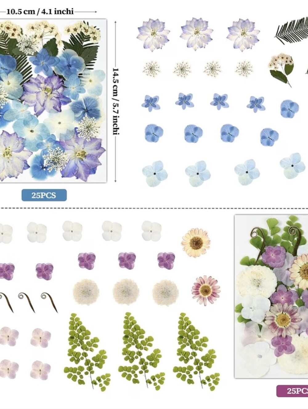 Scrapbook Bundle - Picture 10 of 16